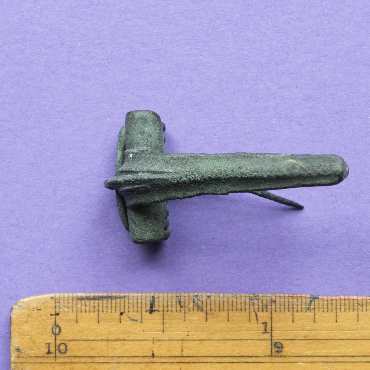8101493.jpg