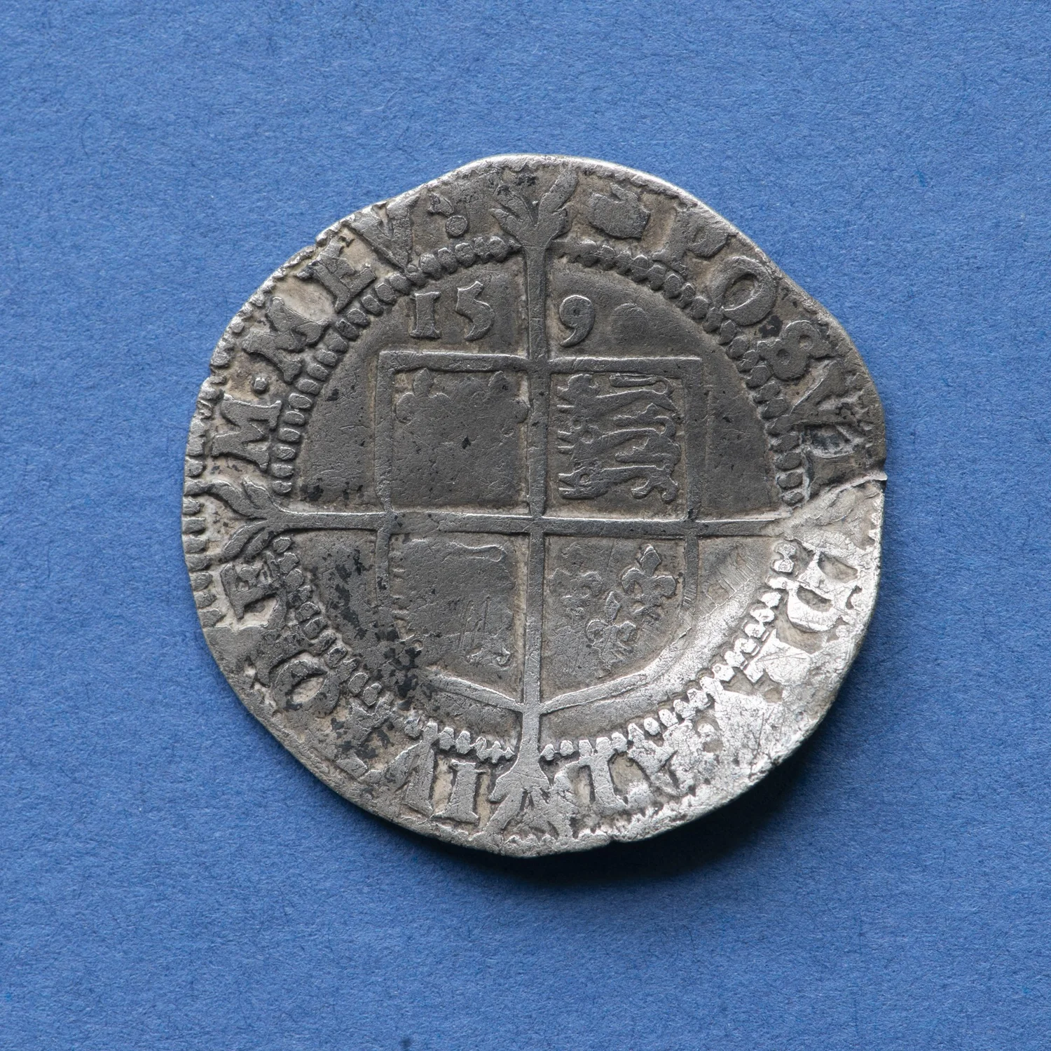 8101433.jpg