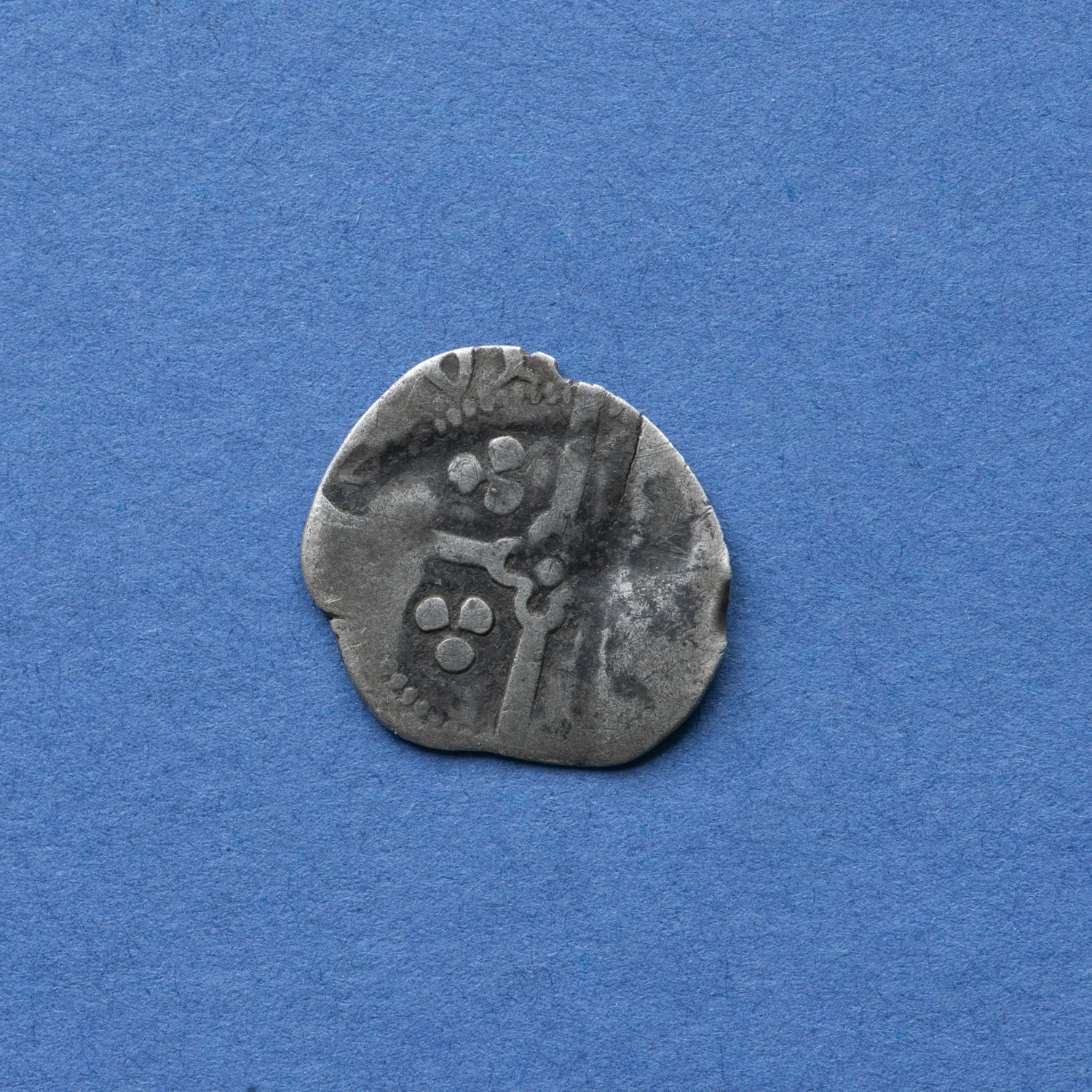 8101429.jpg